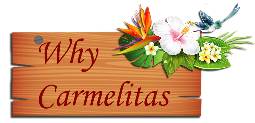 apartementen in nickerie